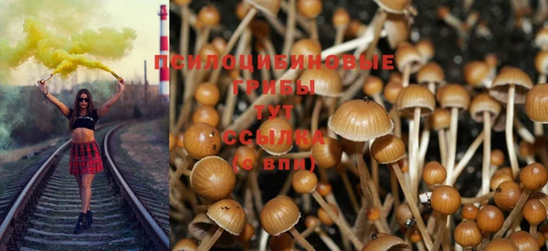 первитин Заводоуковск