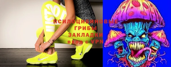 первитин Заводоуковск