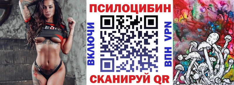 Псилоцибиновые грибы GOLDEN TEACHER  где купить   Дербент 